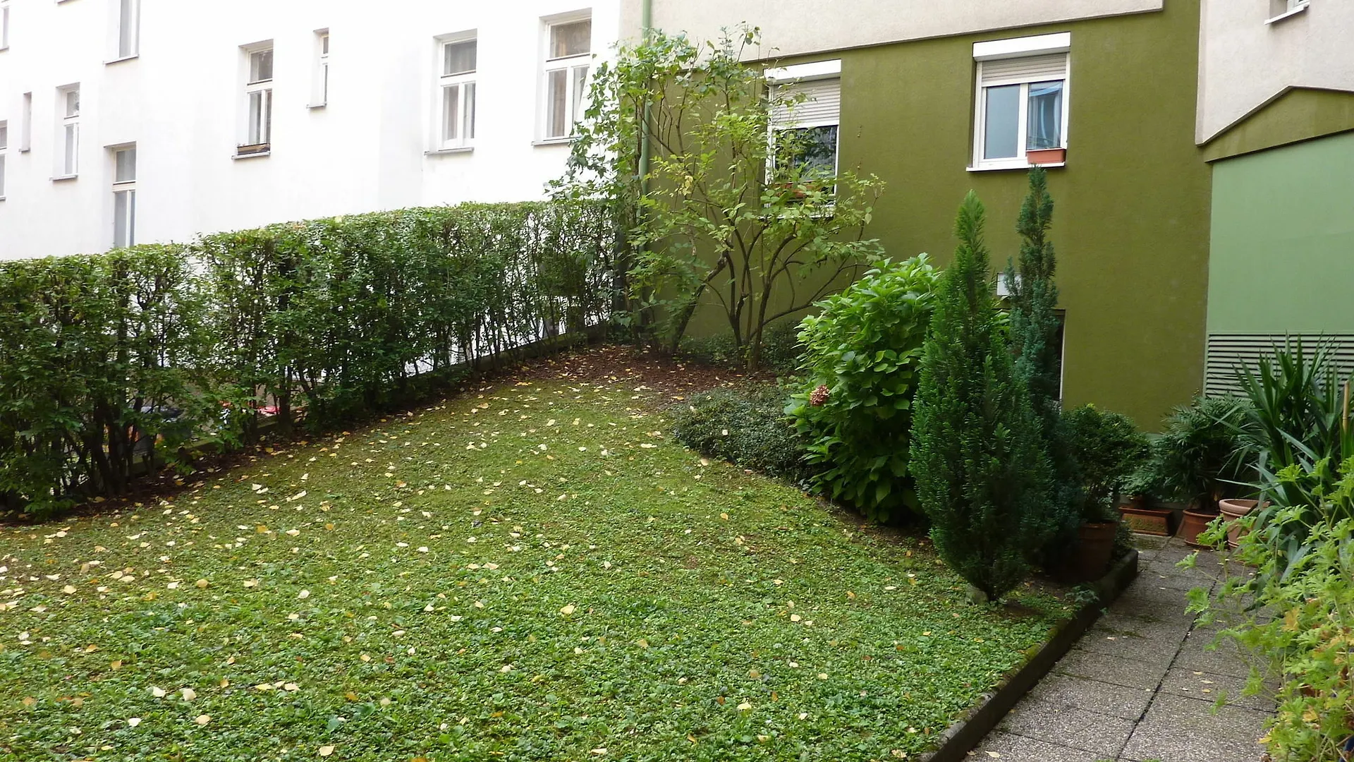 Sunny Vie Apartment Vienna